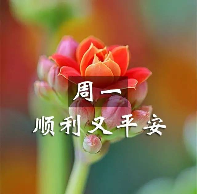 365个早上好歌曲视频,把每个清晨都过成值得纪念的小日子 365个早上好歌曲视频,把每个清晨都过成值得纪念的小日子